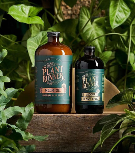 Mica Douro Pot - Image 2